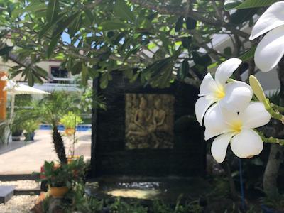 ترپیکال پالم ریزرت اند اسپا