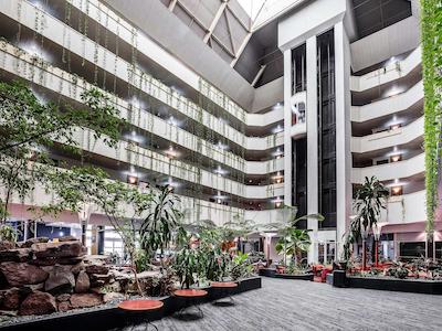 نوتل داروین کبد