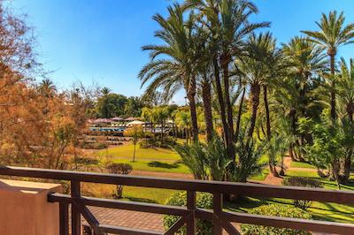 بارسل پالمری