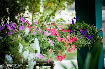 دواسُم هواهین ریزرت