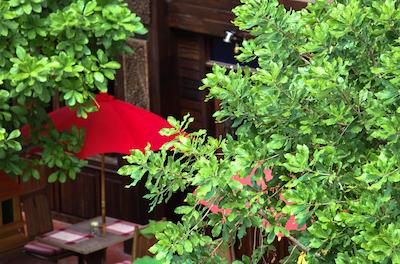 سینگها منترا لانا بوتیک استیل