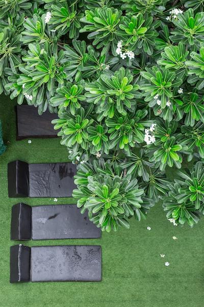 سینگها منترا لانا بوتیک استیل