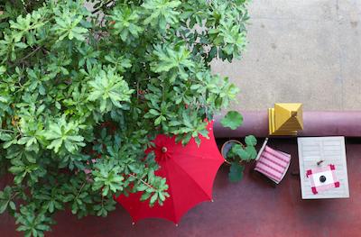 سینگها منترا لانا بوتیک استیل