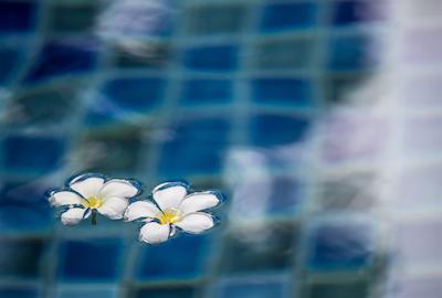 سینگها منترا لانا بوتیک استیل