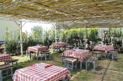 اگریتوریسمو پیکسلو پارادیسُ