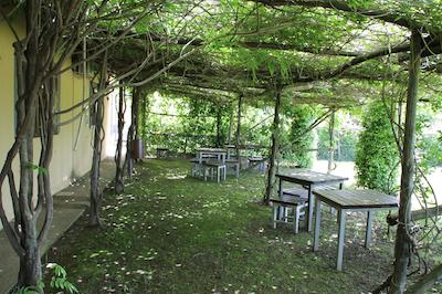 اگریتوریسمو پیکسلو پارادیسُ