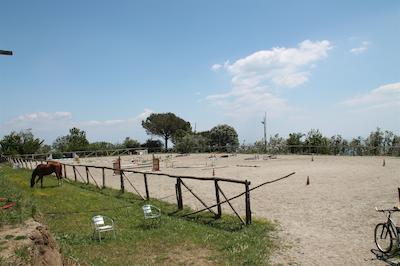 اگریتوریسمو پیکسلو پارادیسُ