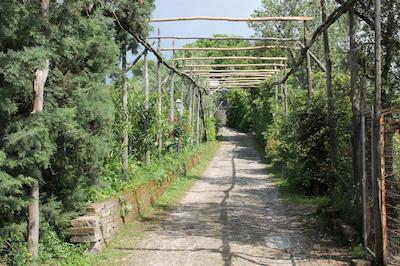 اگریتوریسمو پیکسلو پارادیسُ