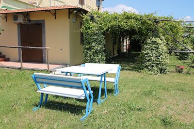 اگریتوریسمو پیکسلو پارادیسُ