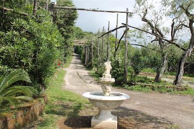 اگریتوریسمو پیکسلو پارادیسُ