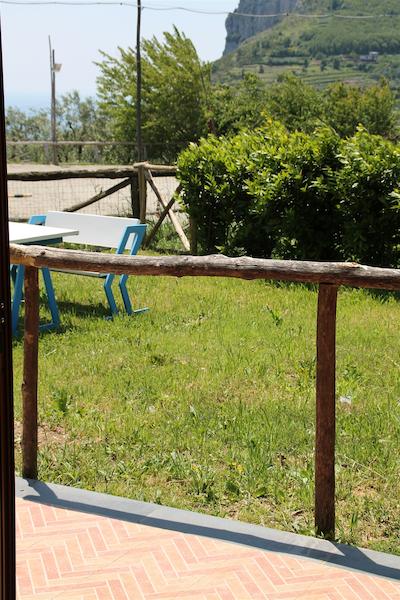 اگریتوریسمو پیکسلو پارادیسُ