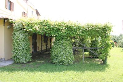 اگریتوریسمو پیکسلو پارادیسُ