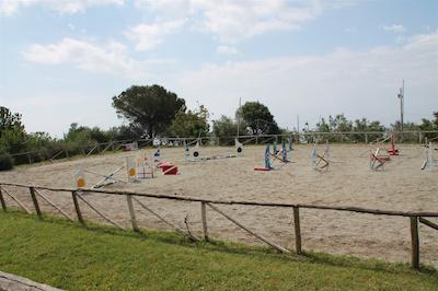 اگریتوریسمو پیکسلو پارادیسُ