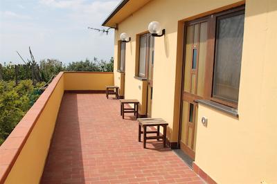 اگریتوریسمو پیکسلو پارادیسُ