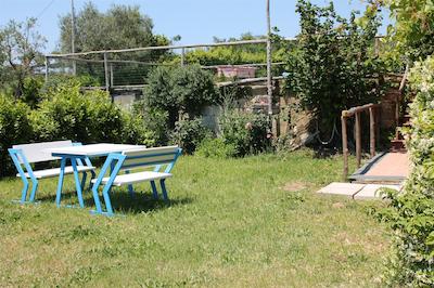 اگریتوریسمو پیکسلو پارادیسُ