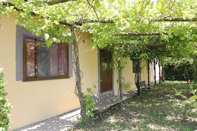 اگریتوریسمو پیکسلو پارادیسُ