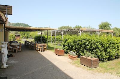 اگریتوریسمو پیکسلو پارادیسُ