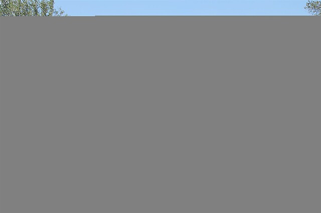 اگریتوریسمو پیکسلو پارادیسُ