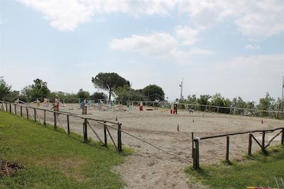 اگریتوریسمو پیکسلو پارادیسُ