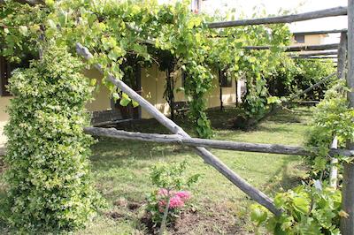 اگریتوریسمو پیکسلو پارادیسُ