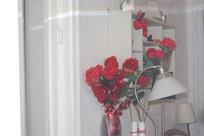 دومو ویو بد اند بریکفاست