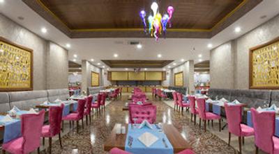 د قاسر بدروم فامیلی ریزرت اند اسپا