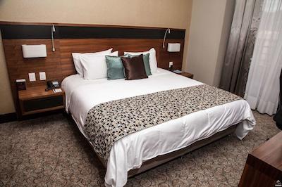 دوبلتری بای هیلتون هتل بگوت-پارک 93