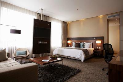 دوبلتری بای هیلتون هتل بگوت-پارک 93