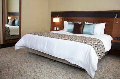 دوبلتری بای هیلتون هتل بگوت-پارک 93