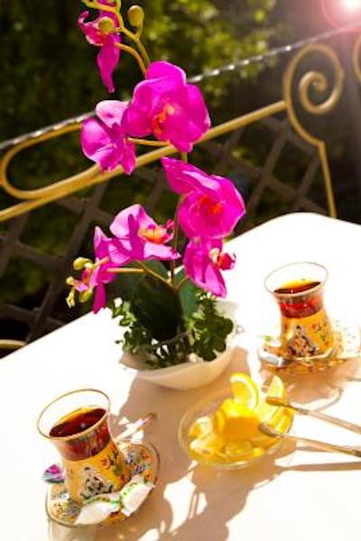 سوان هتل باکو