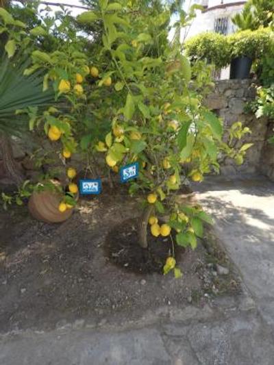 پانراما بوتیک هتل