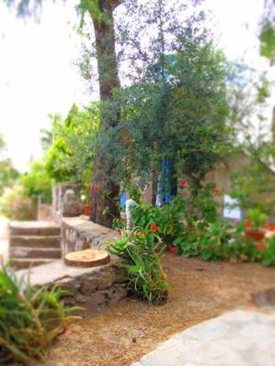 پانراما بوتیک هتل