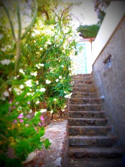 پانراما بوتیک هتل