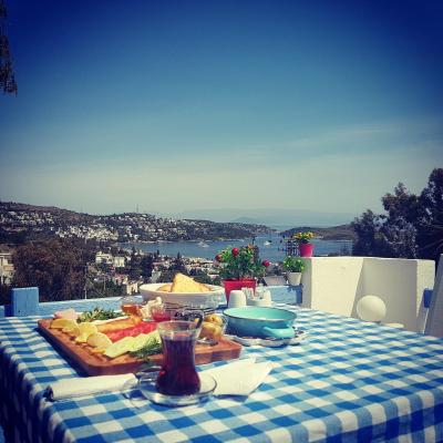 پانراما بوتیک هتل