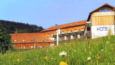 هتل ام پفاهل