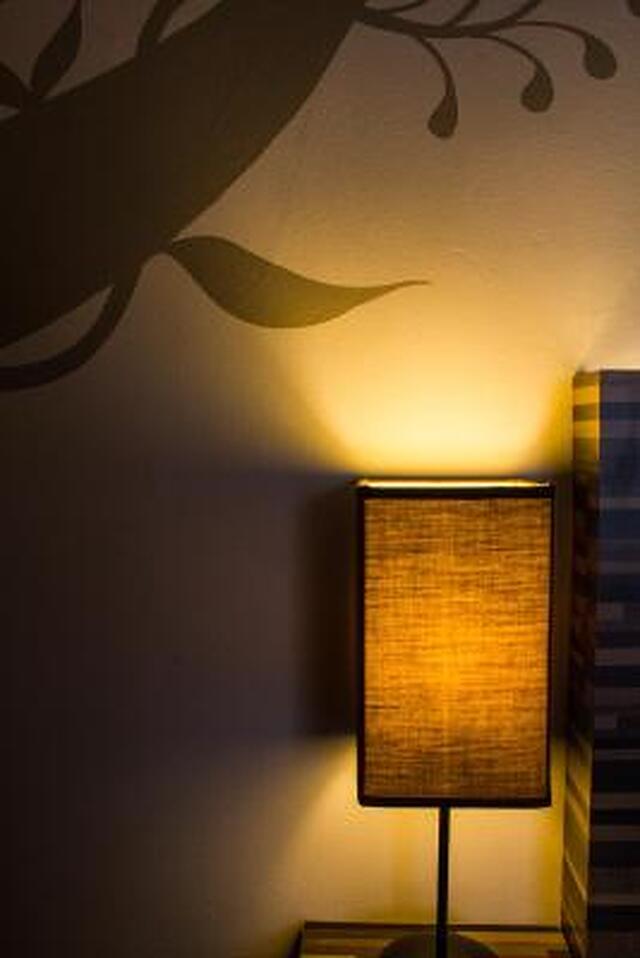 5 المنتز