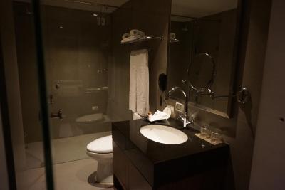 اس33 کامپکت سوخومویت هتل