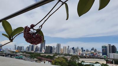 اینترچینج تاور