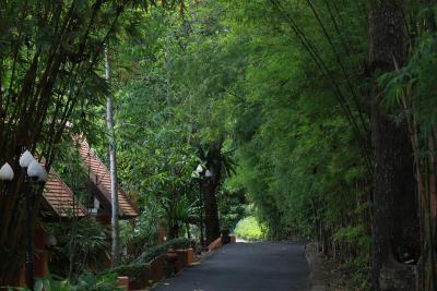 سوکو کلچرال اسپا اند ولنس