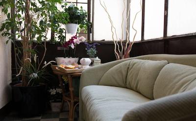 اندی اند لو