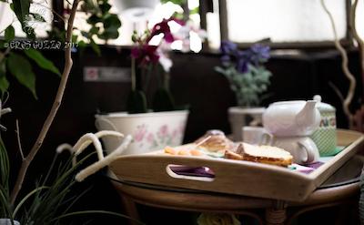 اندی اند لو