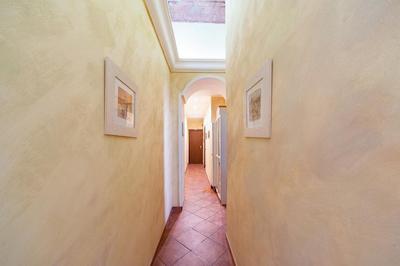 اندی اند لو