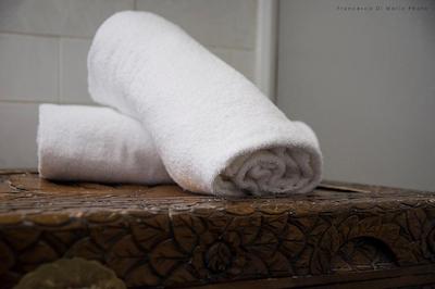 اندی اند لو