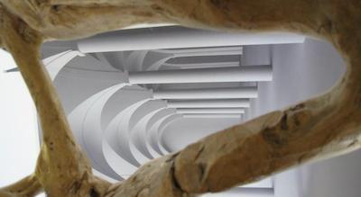 هتل داریوال