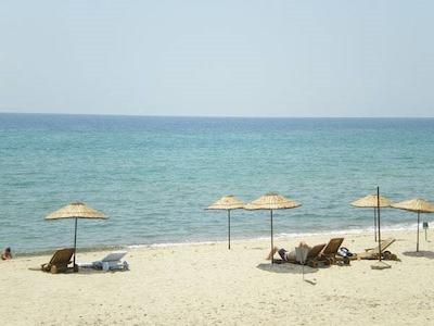 سیلیوری پارک