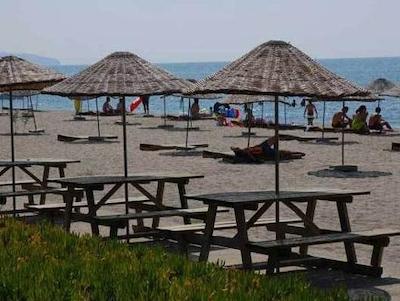 سیلیوری پارک