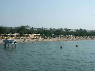 سیلیوری پارک