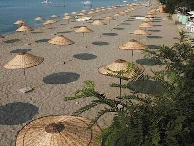 سیلیوری پارک