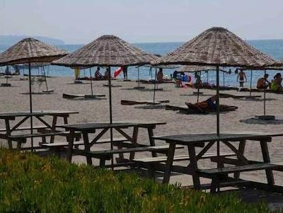 سیلیوری پارک