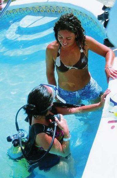 باربادز بیچ کلوب